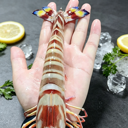 Large Tiger Prawn